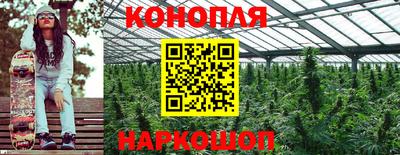 сатива Будённовск