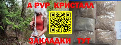 сатива Будённовск