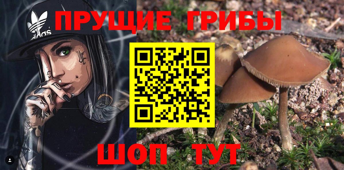 Псилоцибиновые грибы ЛСД Похвистнево