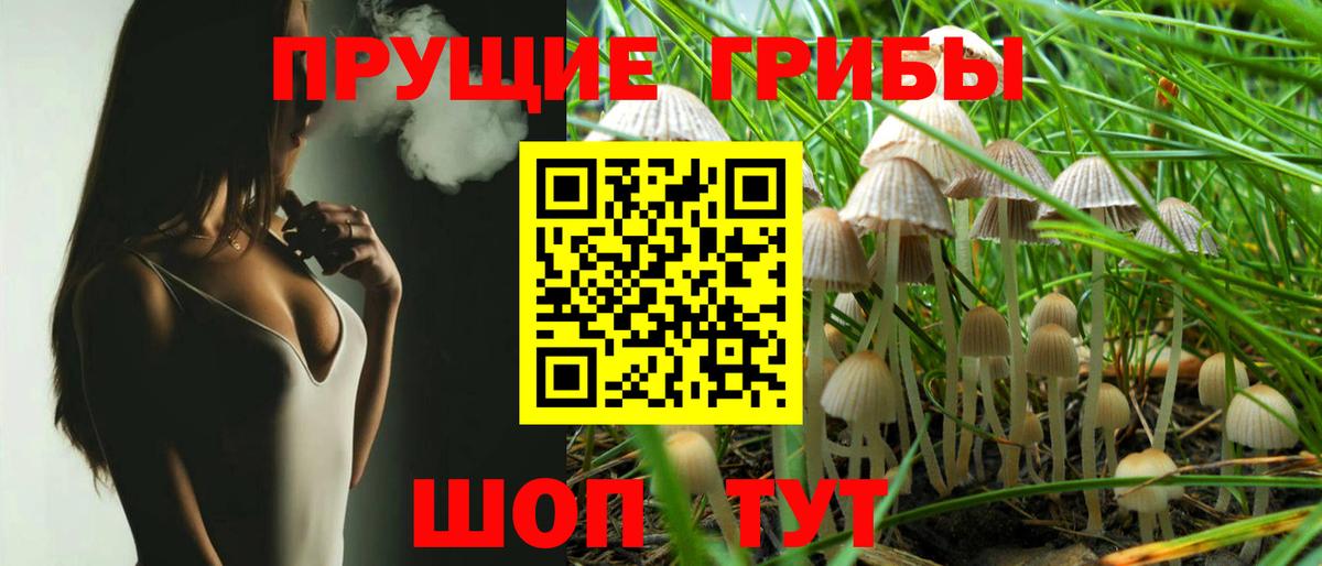 Псилоцибиновые грибы Cubensis  Вход с VPN  Похвистнево 